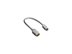 Picture of GoldX® 6 Inch Mini HDMI 19 pin to DVI Single Link Adapter Cable - 0 of 1