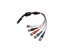 Picture of 5 RCA Molded Males to 8 Pin Female Mini Din - 0 of 1