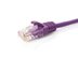 Picture of CAT5e Patch Cable - 2 FT, Purple, Booted - 0 of 2