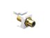 Picture of Module Rca Female Black Insert White - 0 of 1
