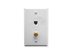 Picture of Faceplate Idc Voice & F-type White - 0 of 1