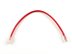Picture of CAT5e Patch Cable - 1 FT, Red, Assembled - 1 of 2