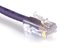 Picture of Cat 6 Patch Cable - 14 FT, Purple, Assembled - 0 of 2