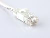 Cat 6 Ethernet patch cable with booted RJ45 male connector