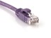Picture of Cat 6 Ethernet Patch Cable - 2 FT, Purple, Booted - 0 of 7