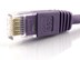 Picture of Cat 6 Ethernet Patch Cable - 25 FT, Purple, Booted - 1 of 7
