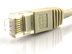 Picture of Cat 6 Ethernet Patch Cable - 50 FT, Gray, Booted - 1 of 3