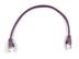 Picture of CAT5e Patch Cable - 1 FT, Purple, Booted - 1 of 2