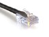 Picture of Cat 6 Ethernet Patch Cable - 6 IN, Black, Assembled - 0 of 6