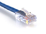 Picture of Cat 6 Ethernet Patch Cable - 6 IN, Blue, Assembled