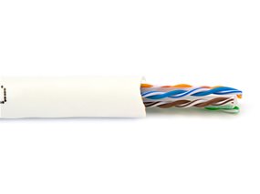 Solid Cat 6e plenum network cable showing internal twisted pair and spline construction