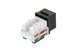 Picture of CAT 6 Keystone Jack 90 Degree 110 UTP - Black - 4 of 9
