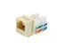 Picture of Cat 6 Keystone Jack 90 Degree 110 UTP - Ivory - 0 of 9