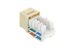 Picture of Cat 6 Keystone Jack 90 Degree 110 UTP - Ivory - 2 of 9