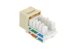 Picture of CAT5e Keystone Jack 90 Degree 110 UTP - Ivory - 2 of 9
