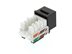 Picture of CAT5e Keystone Jack 90 Degree 110 UTP - Black - 4 of 9