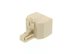 Picture of Modular Voice T Adapter - 1 Male to 2 Female (RJ12 - 6P6C for 6 Wire) - 4 of 8