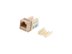 Picture of Cat 6 SpeedTerm Keystone Jack 90 Degree 110 UTP - Ivory - 11 of 12