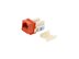 Picture of Cat 6 SpeedTerm Keystone Jack 90 Degree 110 UTP - Orange - 11 of 12