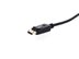 Picture of DisplayPort to DVI-D Video Adapter - 9 of 10