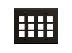 Picture of Faceplate Flat 2-gang 12 Port Black