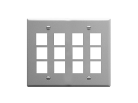 Picture of Faceplate Flat 2-gang 12-port Gray