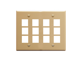 Picture of Faceplate Flat 2-gang 12-port Ivory
