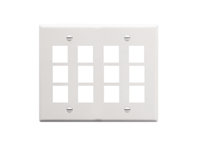 Picture of Faceplate Flat 2-gang 12-port White