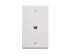 Picture of Wall Plate 1-gang 1-port 6p6c White - 0 of 1