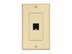 Picture of 1 Port Decorex Face Plate Insert - Ivory - 3 of 4