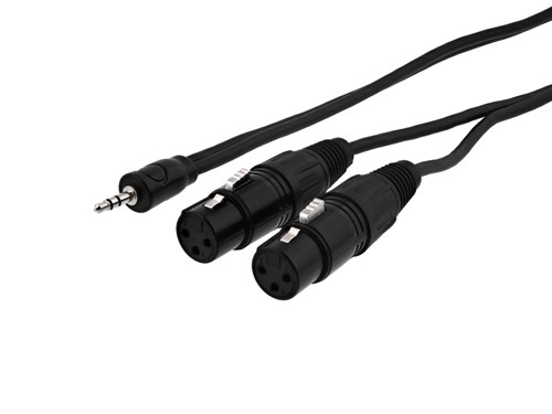 XLR Y Two Female to One 3.5mm Stereo Plug - 6 FT
