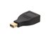 Picture of DisplayPort female to mini DisplayPort male - 0 of 8