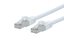 Picture of CAT8 Ethernet Patch Cable - 50 FT, White, Booted
