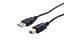 Picture of USB 2.0 Cable A to B M/M - 1 FT