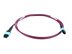 Picture of Plenum MTP® OM4 Multimode Type A 12-Fiber Trunk Cable - 45 Meter - 0 of 3