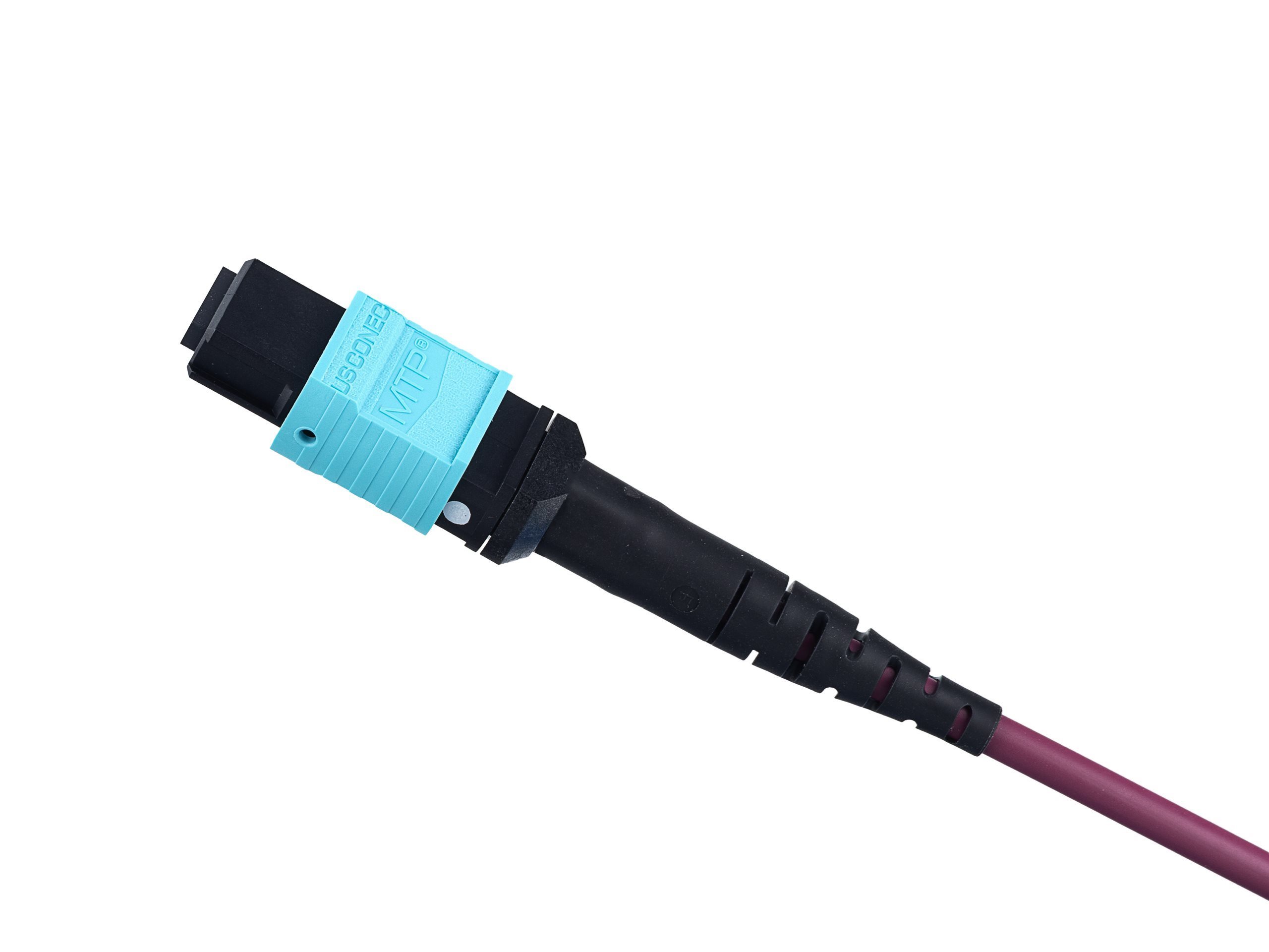 Plenum MTP® OM4 Multimode Type B 12-Fiber Trunk Cable - 50 Meter
