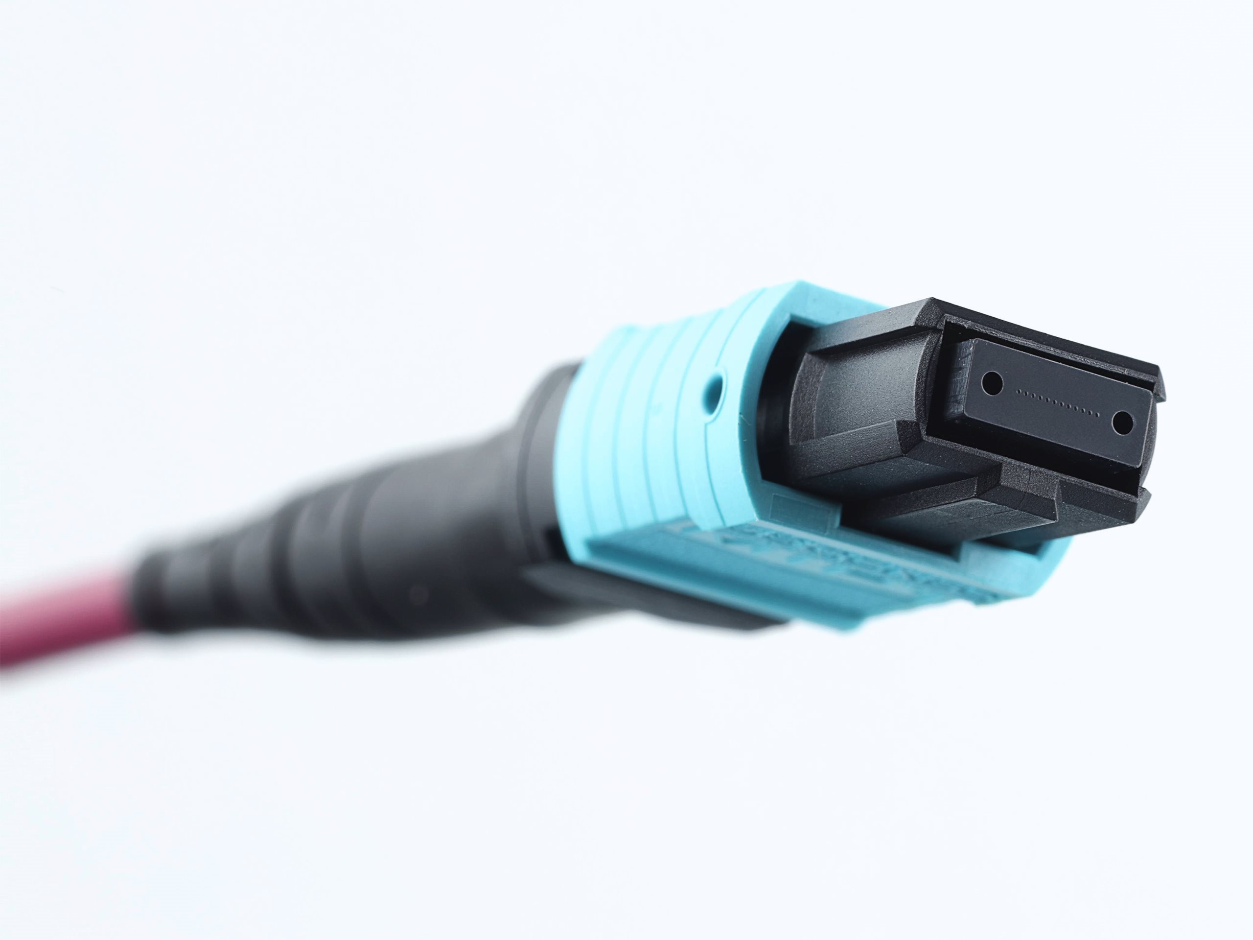 Plenum MTP® OM4 Multimode Type B 12-Fiber Trunk Cable - 50 Meter