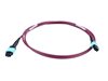Picture of Custom Plenum MTP® / MTO® OM4 Multimode Jumper Cable – Type A & Type B