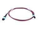 Picture for category MTO / MTP® Trunk Cables