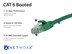 Picture of Cat 6 Ethernet Patch Cable - 2 FT, Green, Booted - 4 of 7