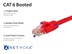 Picture of Cat 6 Ethernet Patch Cable - 50 FT, Red, Booted - 3 of 7