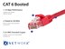 Picture of Cat 6 Ethernet Patch Cable - 5 FT, Red, Booted - 4 of 7