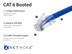 Picture of Cat 6 Ethernet Patch Cable - 10 FT, Blue, Assembled - 3 of 6