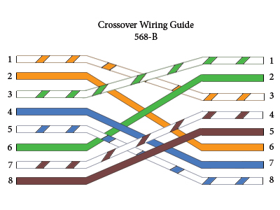 Cat 5 Wiring Diagram Straight Through from www.computercablestore.com